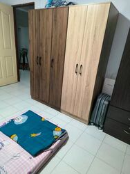 Blk 287 Tampines Street 22 (Tampines), HDB 3 Rooms #567418681